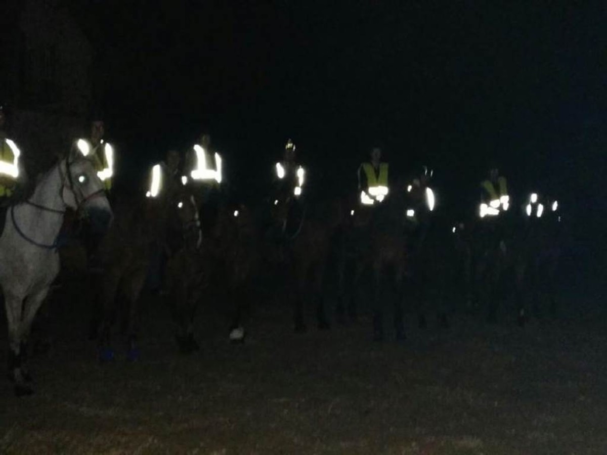 NOCTURNE A CHEVAL OU PONEY - Bonjour Fun