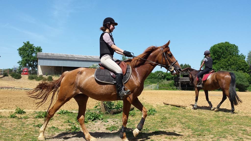 NOCTURNE A CHEVAL OU PONEY - Bonjour Fun