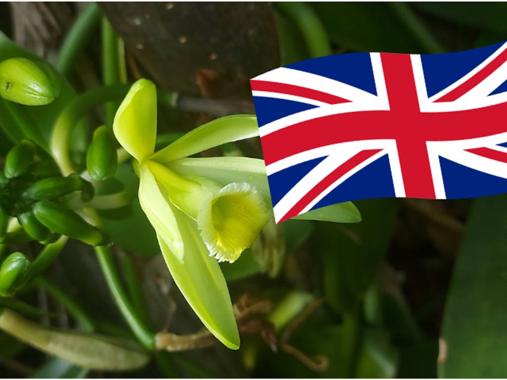 NOTE IMPORTANT : Visite  en anglais - Bonjour Fun