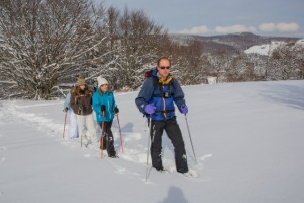 Nouvel An au Ballon d'Alsace avec dîner - Bonjour Fun