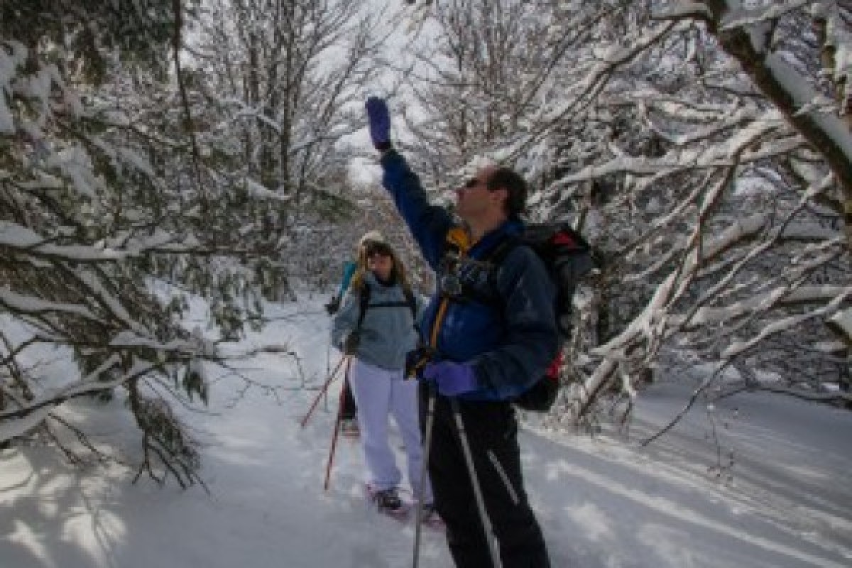 Nouvel An au Lac Blanc avec dîner - Bonjour Fun