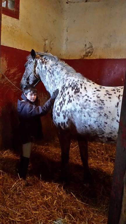 OFFRES DP TAKE CARE - Bonjour Fun