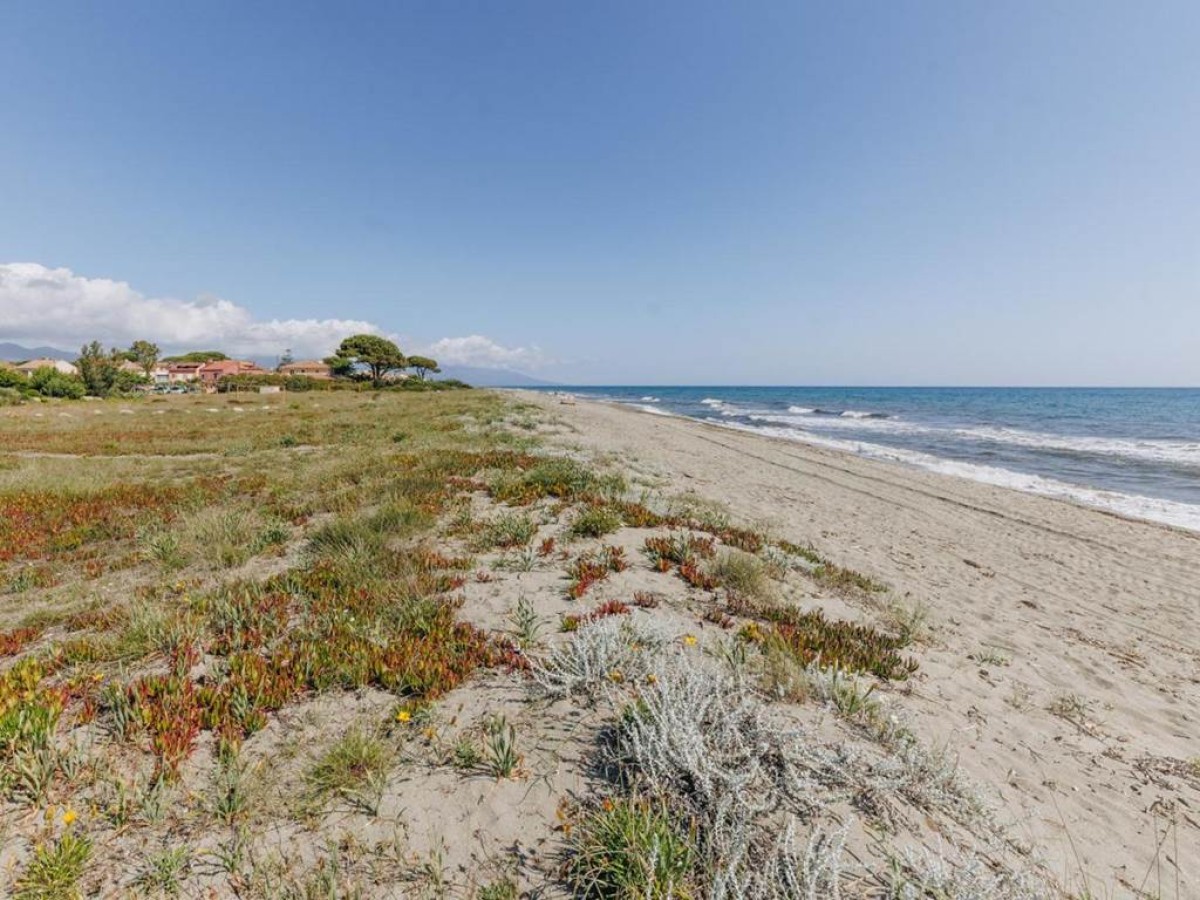 Oro Biancu - Bonjour Fun