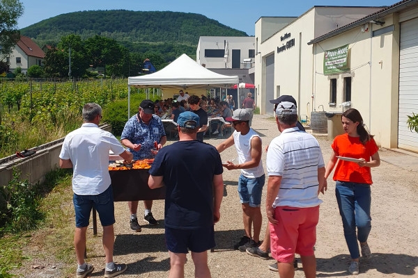 Osez le vin au féminin & Pique-nique au domaine (en anglais) - Bonjour Fun
