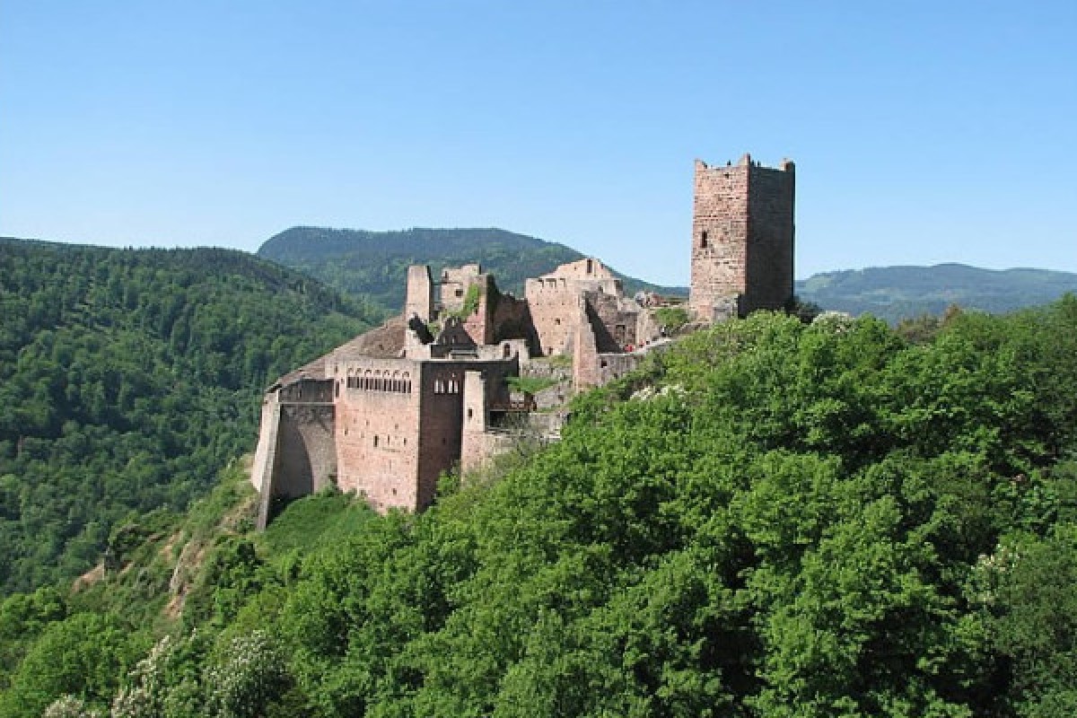 Palais royales- les Chateaux Ribeauvillé - Bonjour Fun