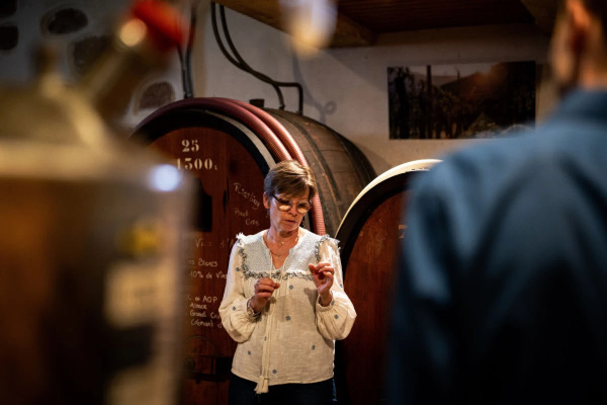 PARENTHESE VIGNERONNE: ACCORDS VINS ET CHOCOLATS - Bonjour Fun
