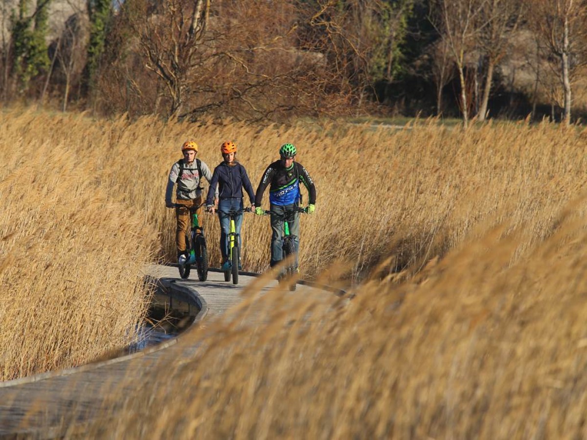 Patrimoine de la vallée du kiwi en trottinette électrique - Bonjour Fun