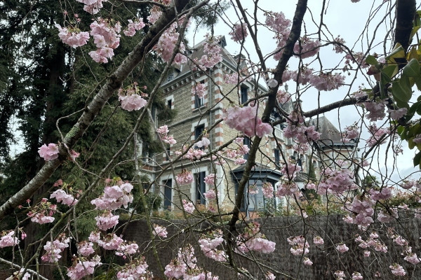 Pau, Ville Anglaise ? et  le Jardin Kofu - Bonjour Fun