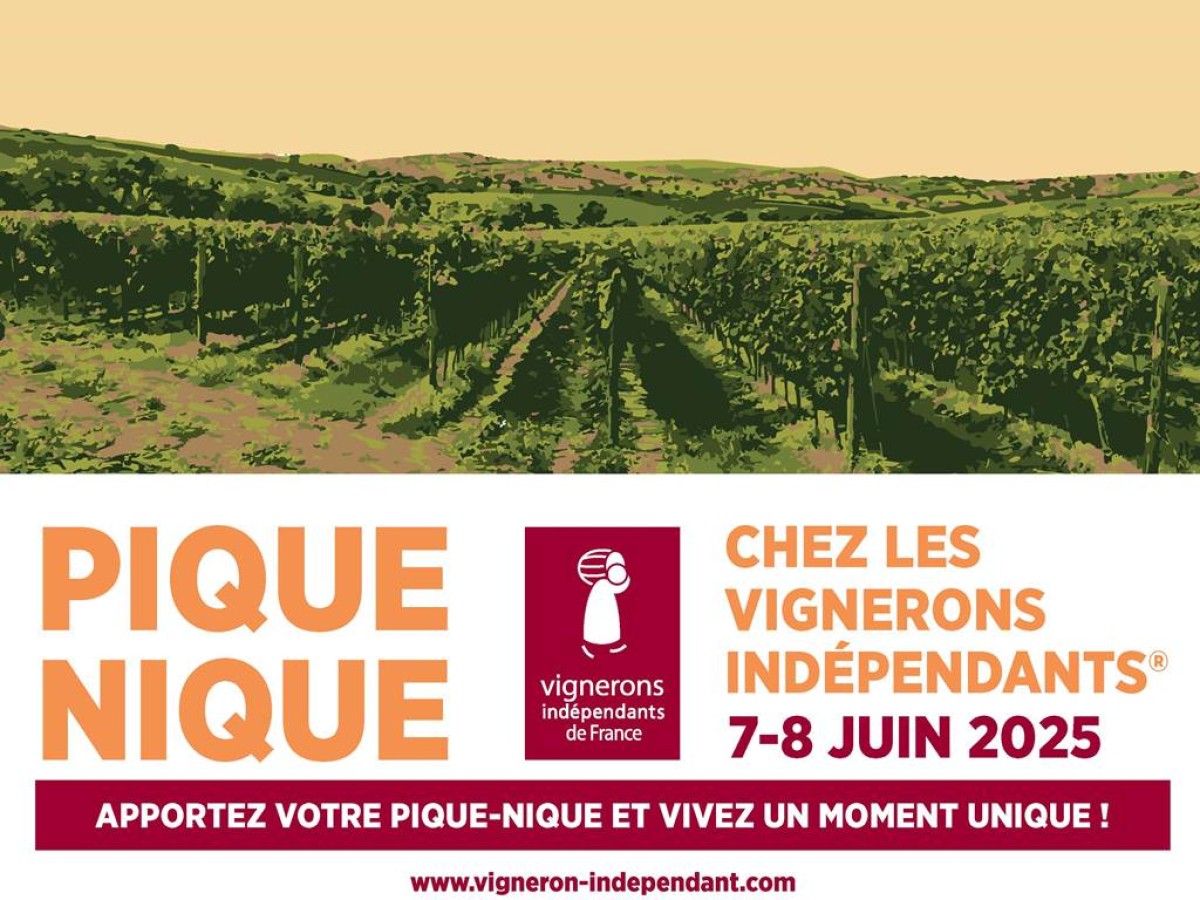 Pique-Nique chez le Vigneron Indépendant - Bonjour Fun