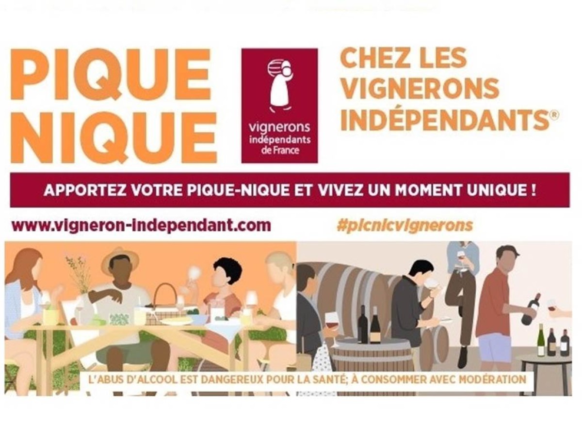 Pique-Nique chez le Vigneron Indépendant - Bonjour Fun