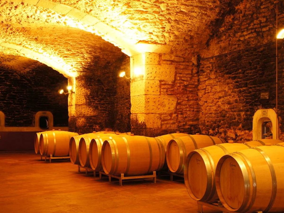 Pique-nique du Vigneron Indépendant - Bonjour Fun