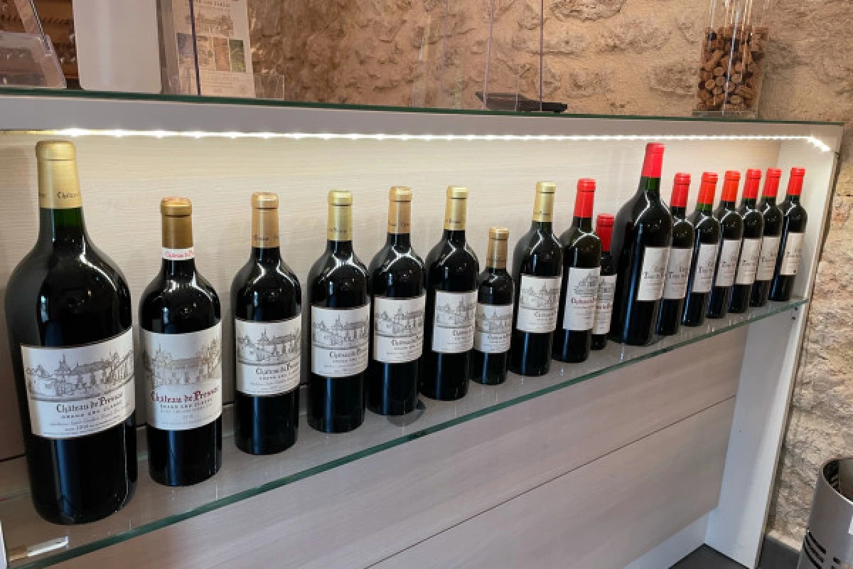 Wine tour en privé au départ de St-Emilion (1 à 6 pers.) - Bonjour Fun