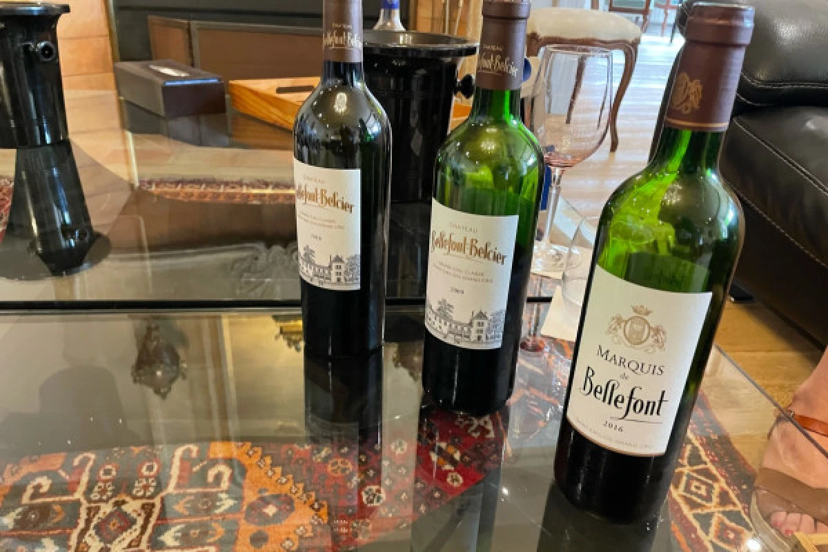 Wine tour en privé au départ de St-Emilion (1 à 6 pers.) - Bonjour Fun