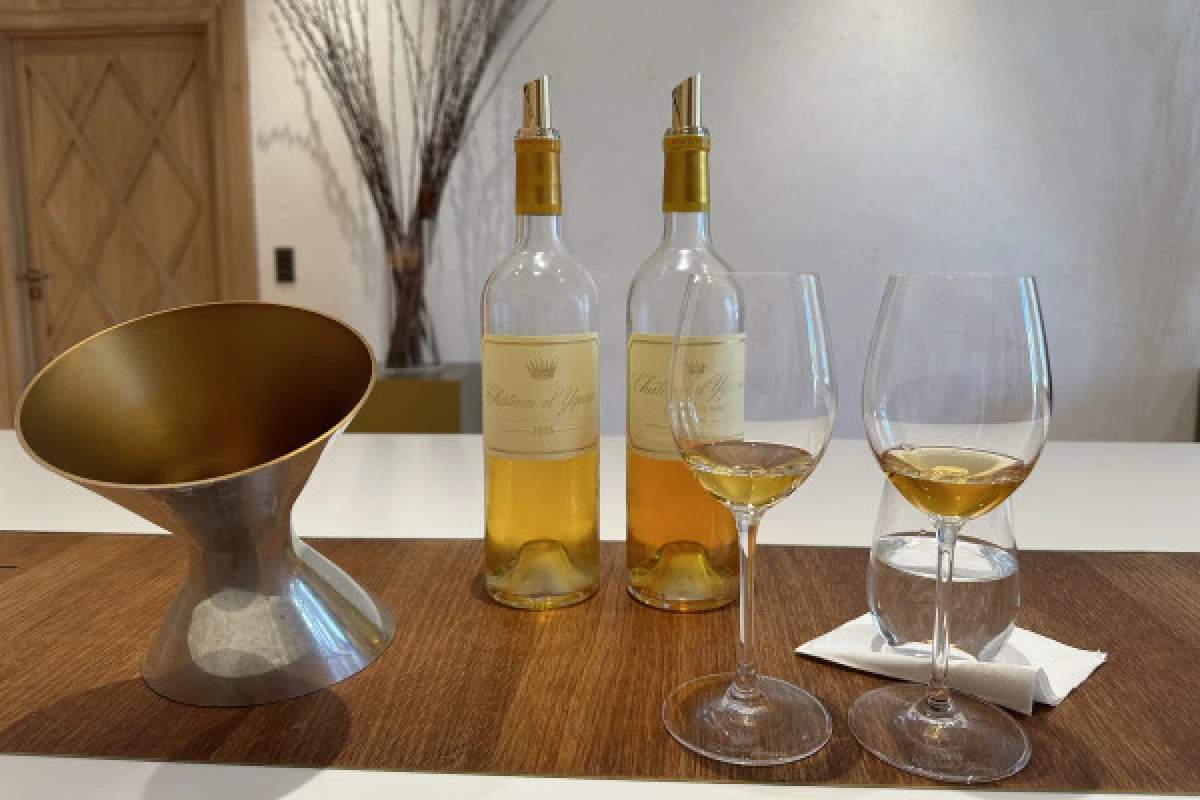 Tour privé des vignobles de Bordeaux & dégustations - Bonjour Fun
