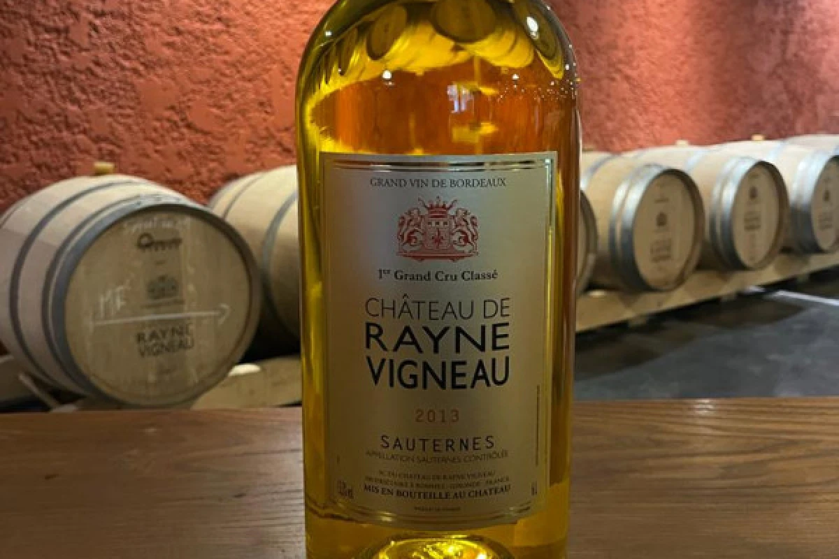 Tour privé des vignobles de Bordeaux & dégustations - Bonjour Fun