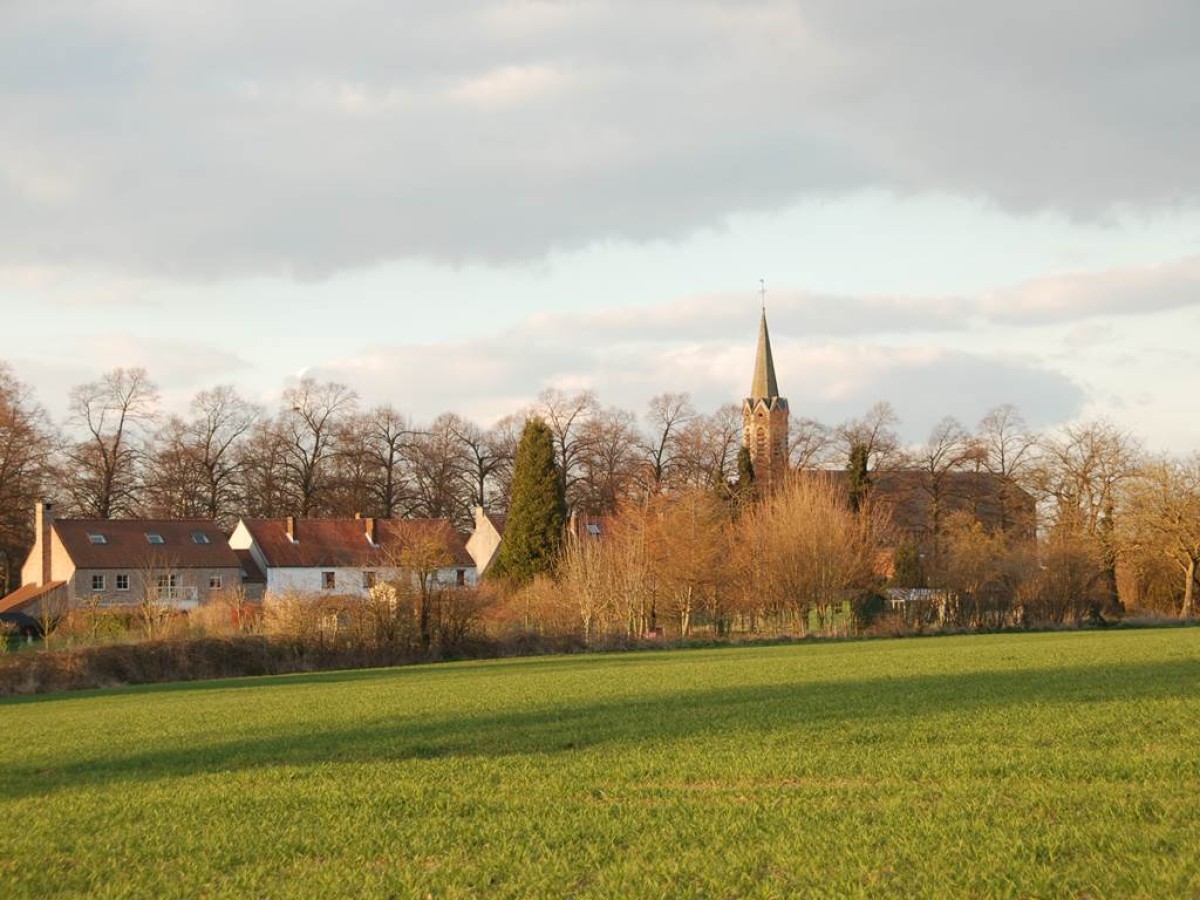 Que nous montre la nature en automne? - CNB-BW - Bonjour Fun