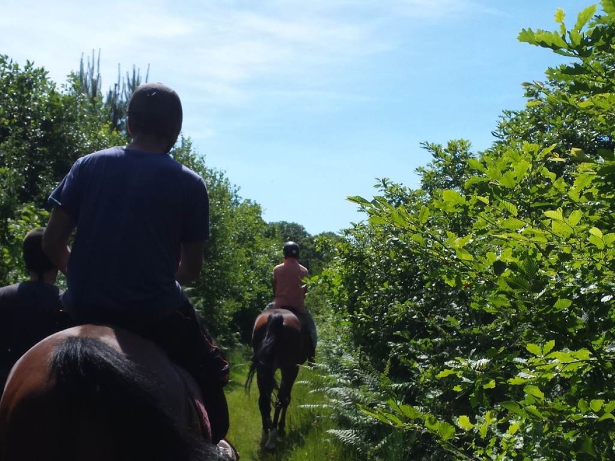 RANDO 6H Journée - Bonjour Fun