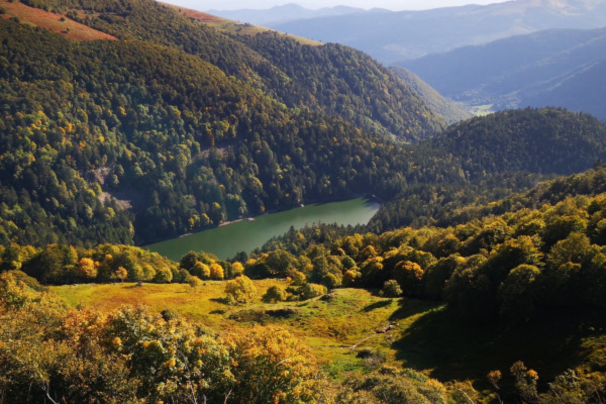 Randonnée à la découverte des animaux - Bonjour Fun