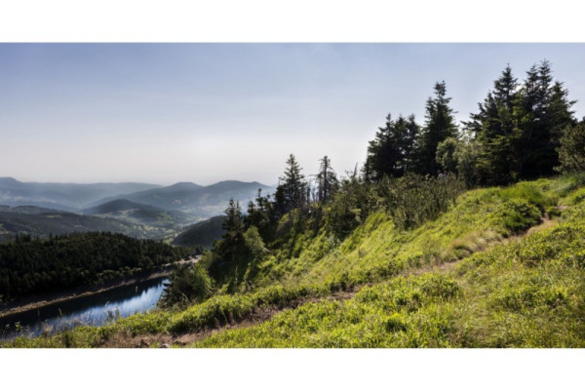 Randonnée au pays Welche - Bonjour Fun