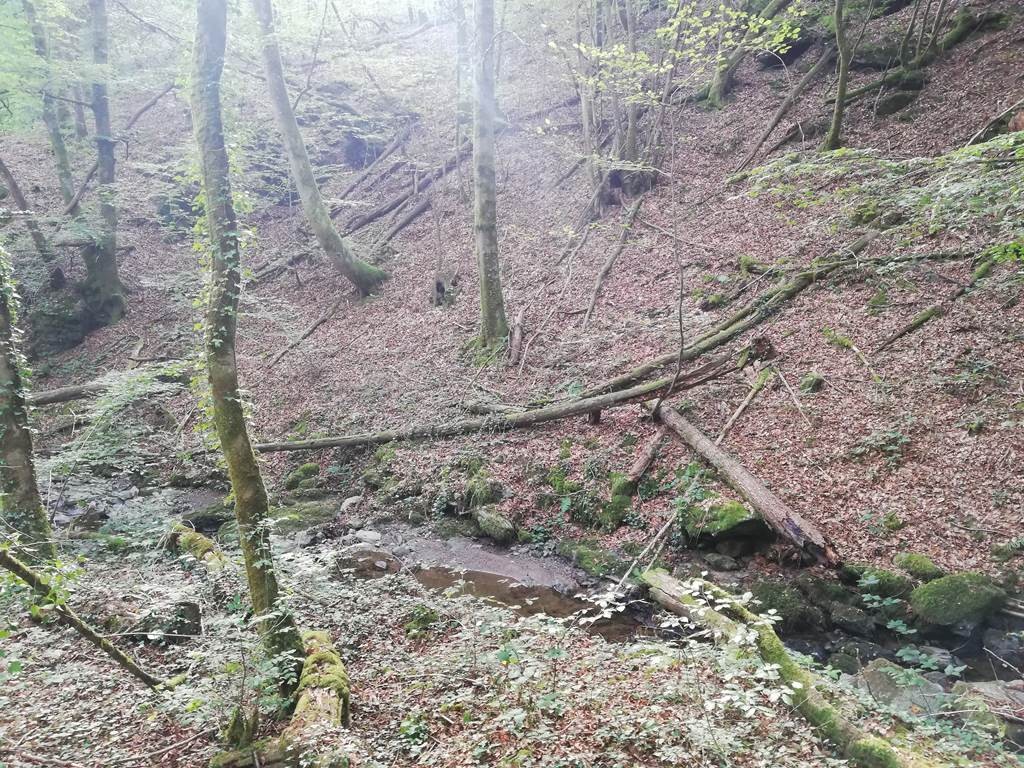 Randonnée dans le bassin de DECAZEVILLE - Bonjour Fun
