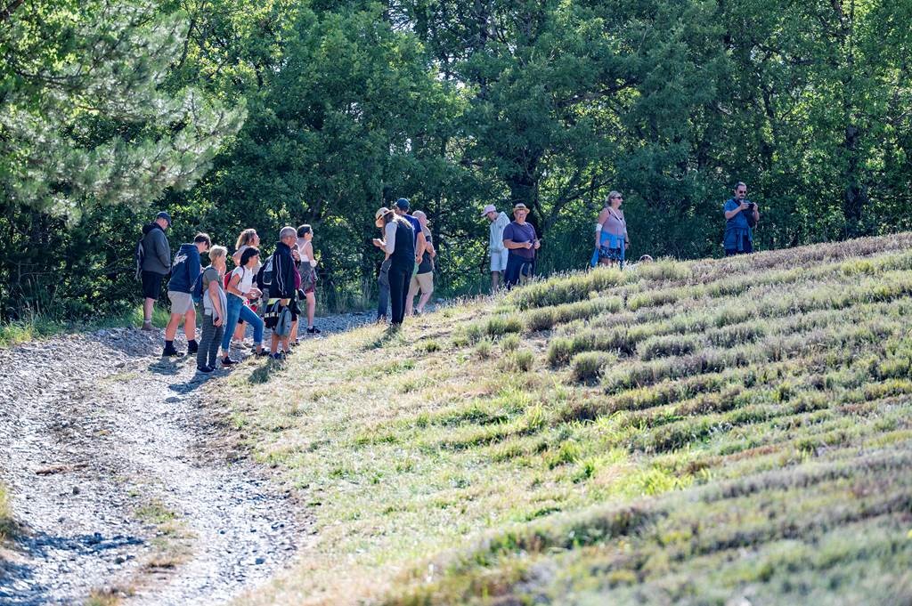 Randonnée dans les champs - Bonjour Fun