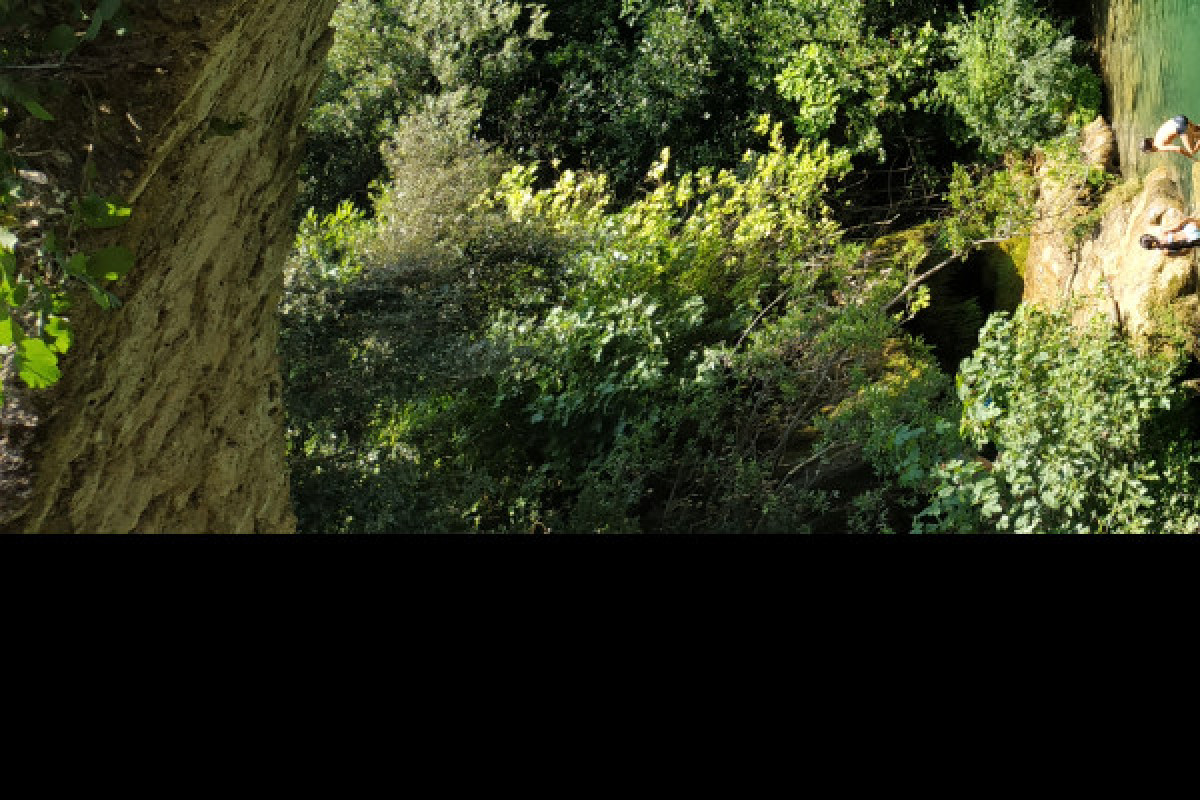 Randonnée découverte et plantes comestibles - Pays de Fayence - Bonjour Fun