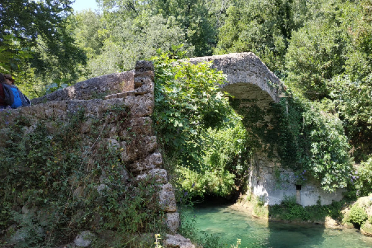 Randonnée découverte et plantes comestibles - Pays de Fayence - Bonjour Fun