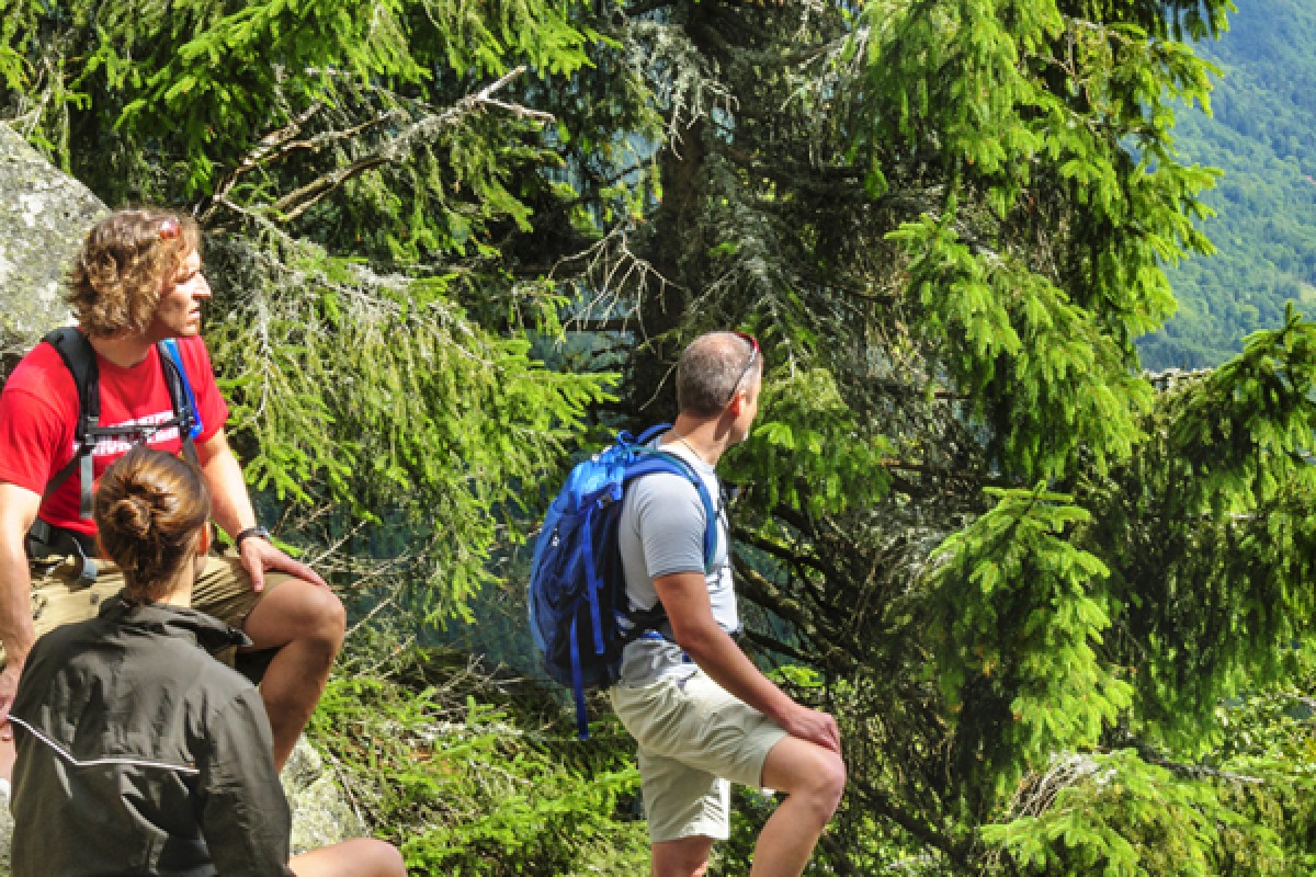 Randonnée et Qi Gong dans les Vosges - Bonjour Fun