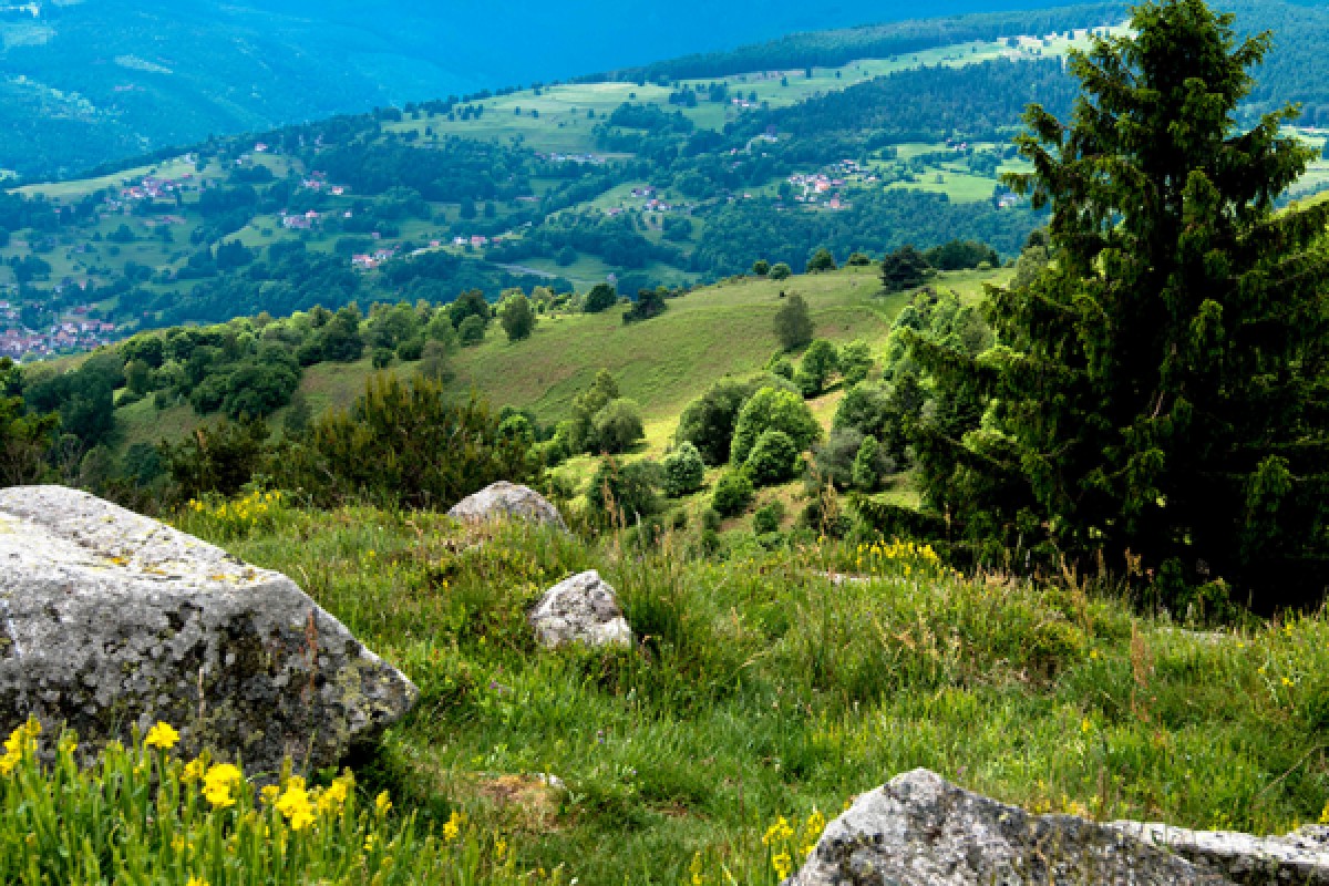 Randonnée et Qi Gong dans les Vosges - Bonjour Fun