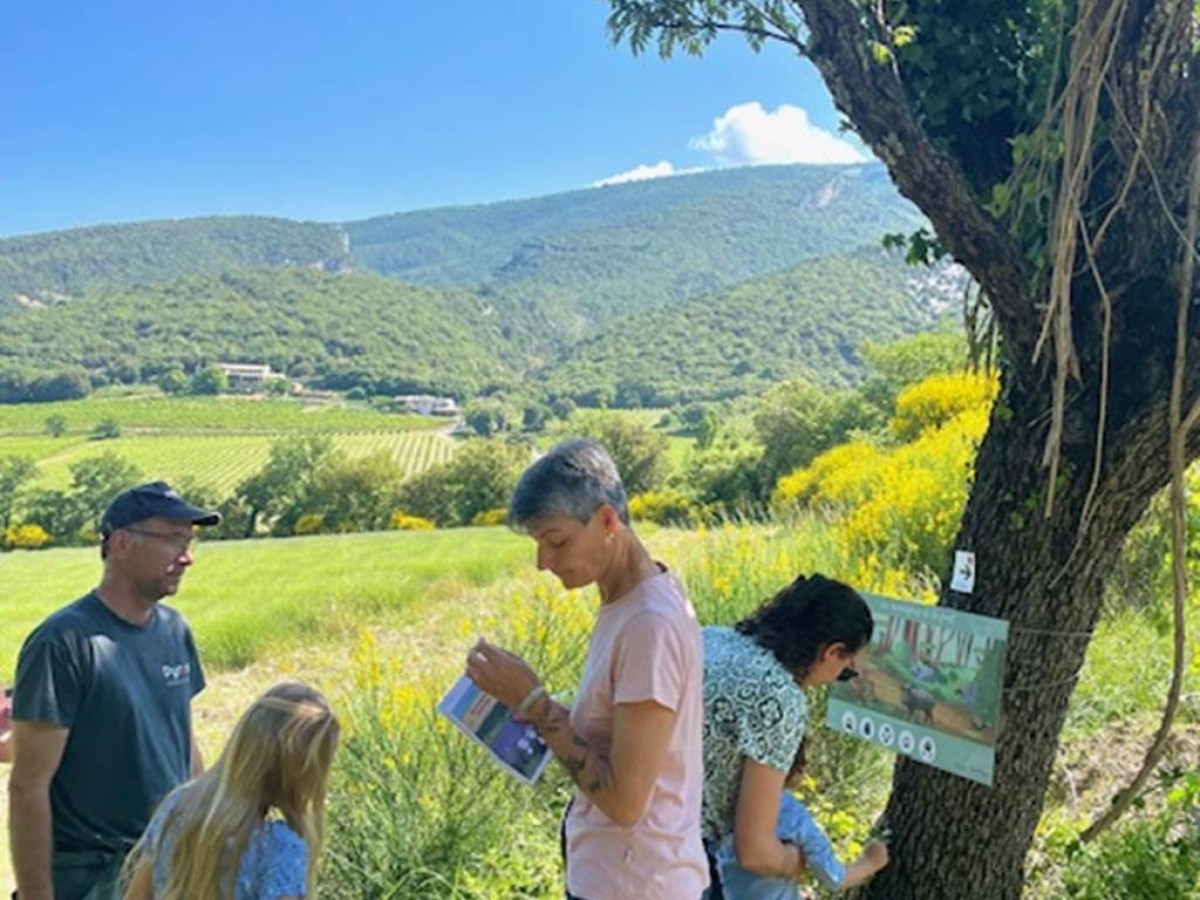 Randonnée ludique familiale - Bonjour Fun