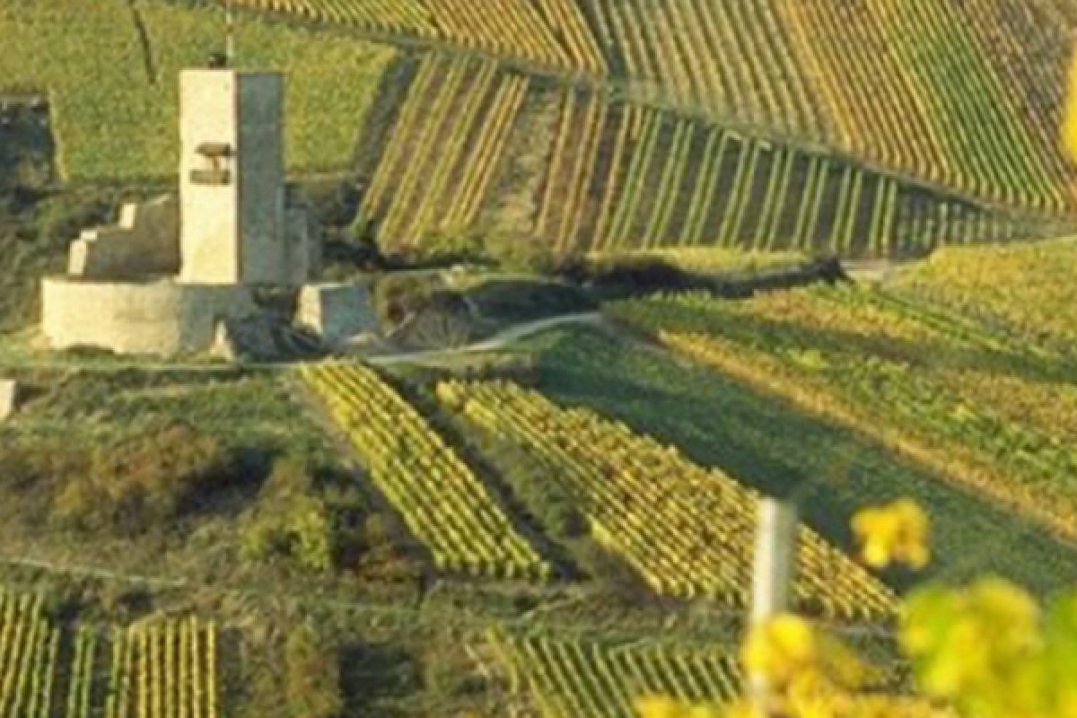 Randonnée médiévale - Bonjour Fun