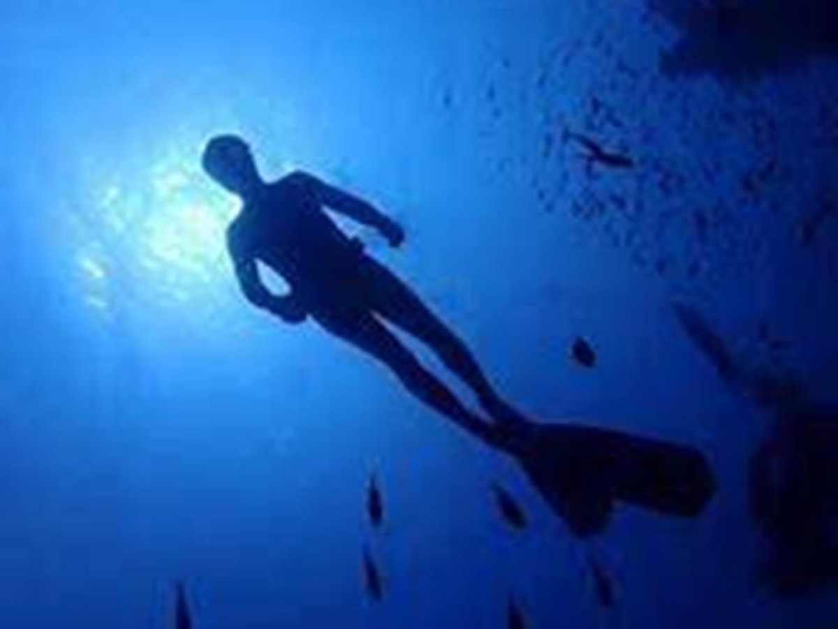 Randonnée palmée - Bonjour Fun