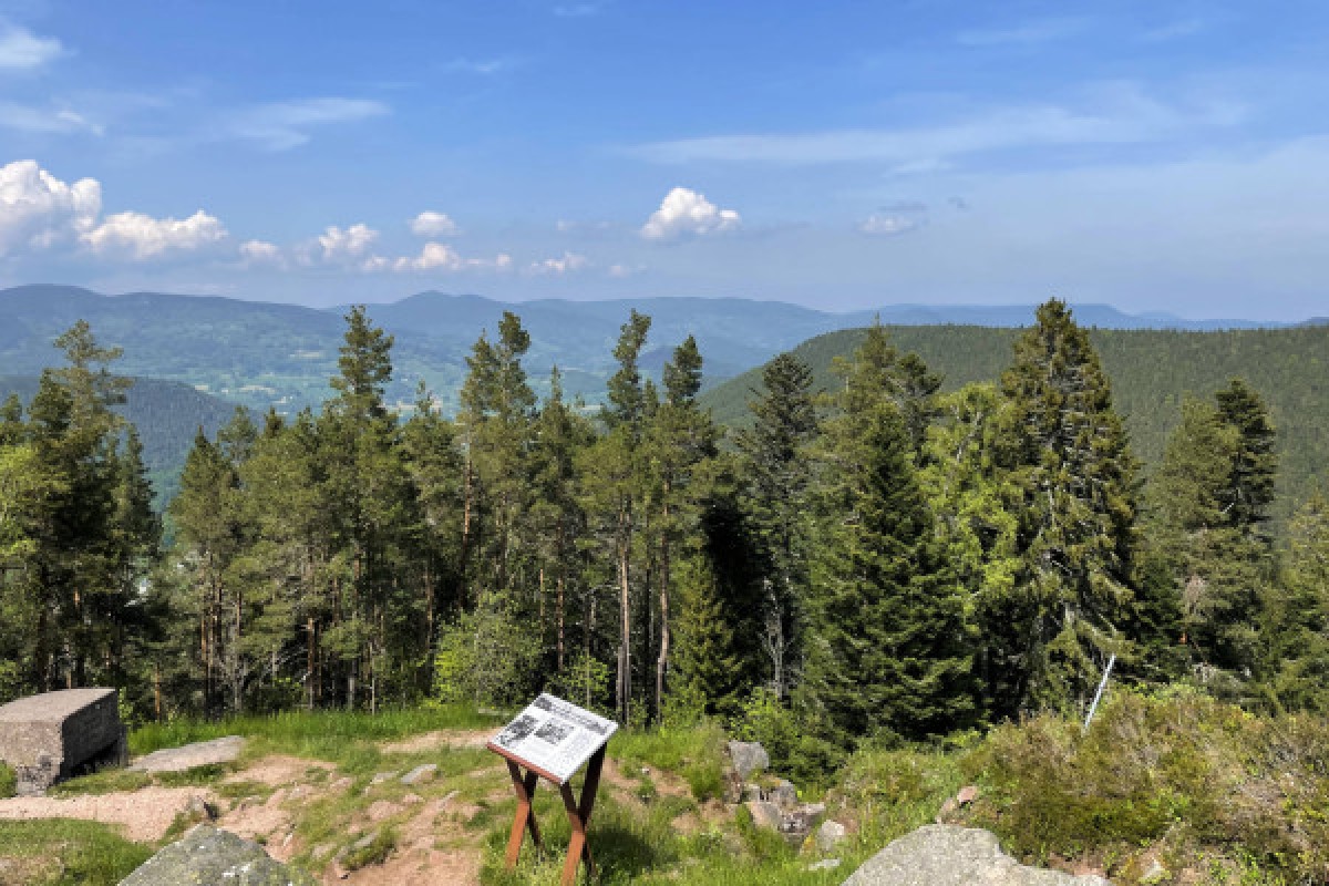 Randonnées guidées du champ de bataille du Linge - Bonjour Fun
