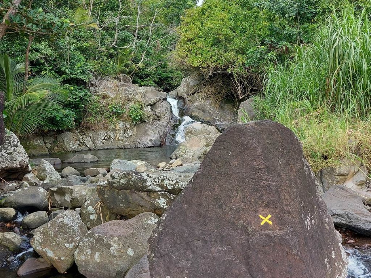 Randonnées nature - Bonjour Fun