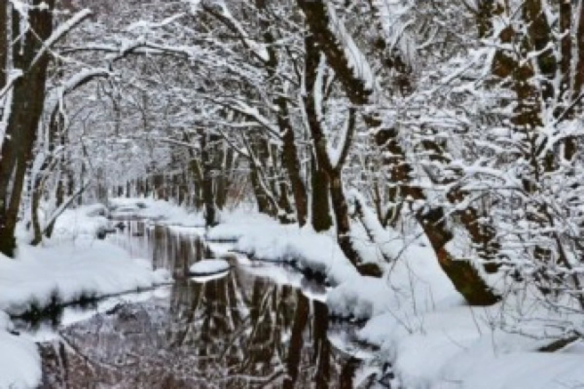 Raquettes à neige à la cascade Bruscher - Bonjour Fun