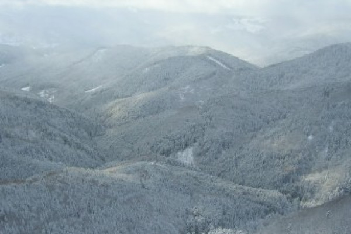 Raquettes à neige au chaume du Gresson - Bonjour Fun