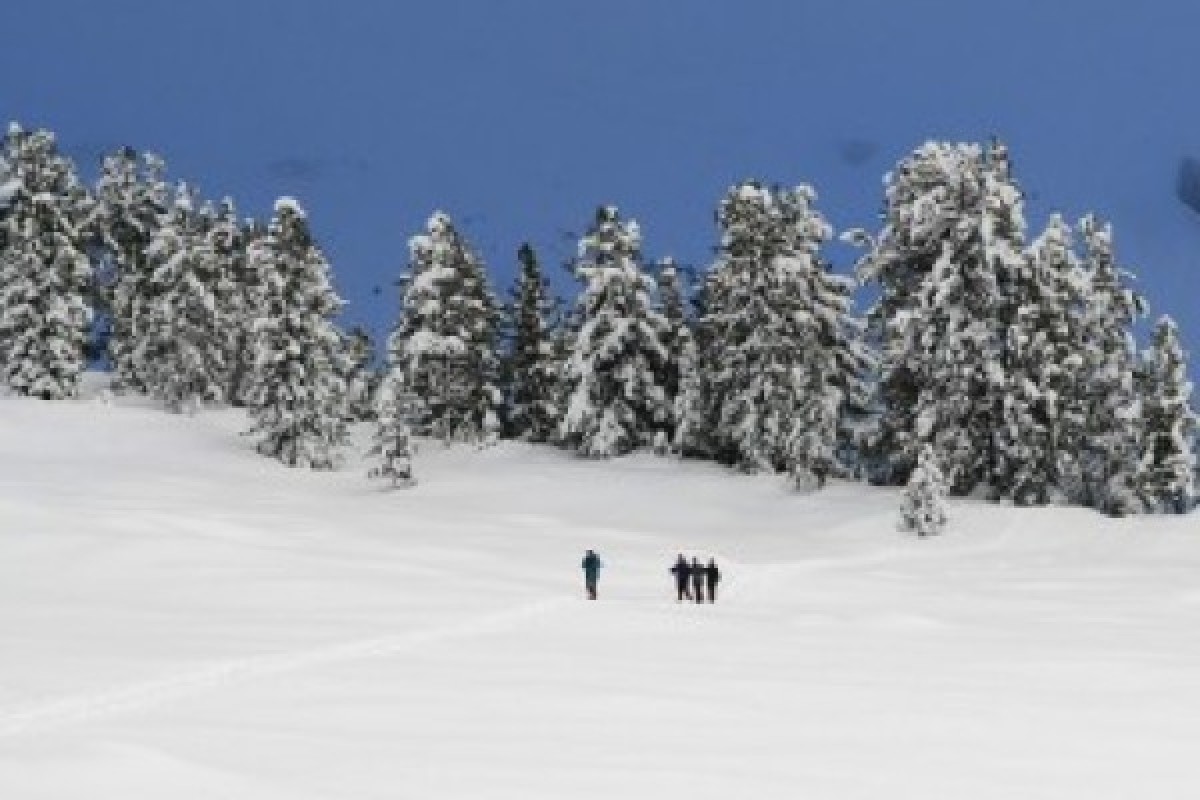 Raquettes à neige au Lac de la Lauch - Bonjour Fun