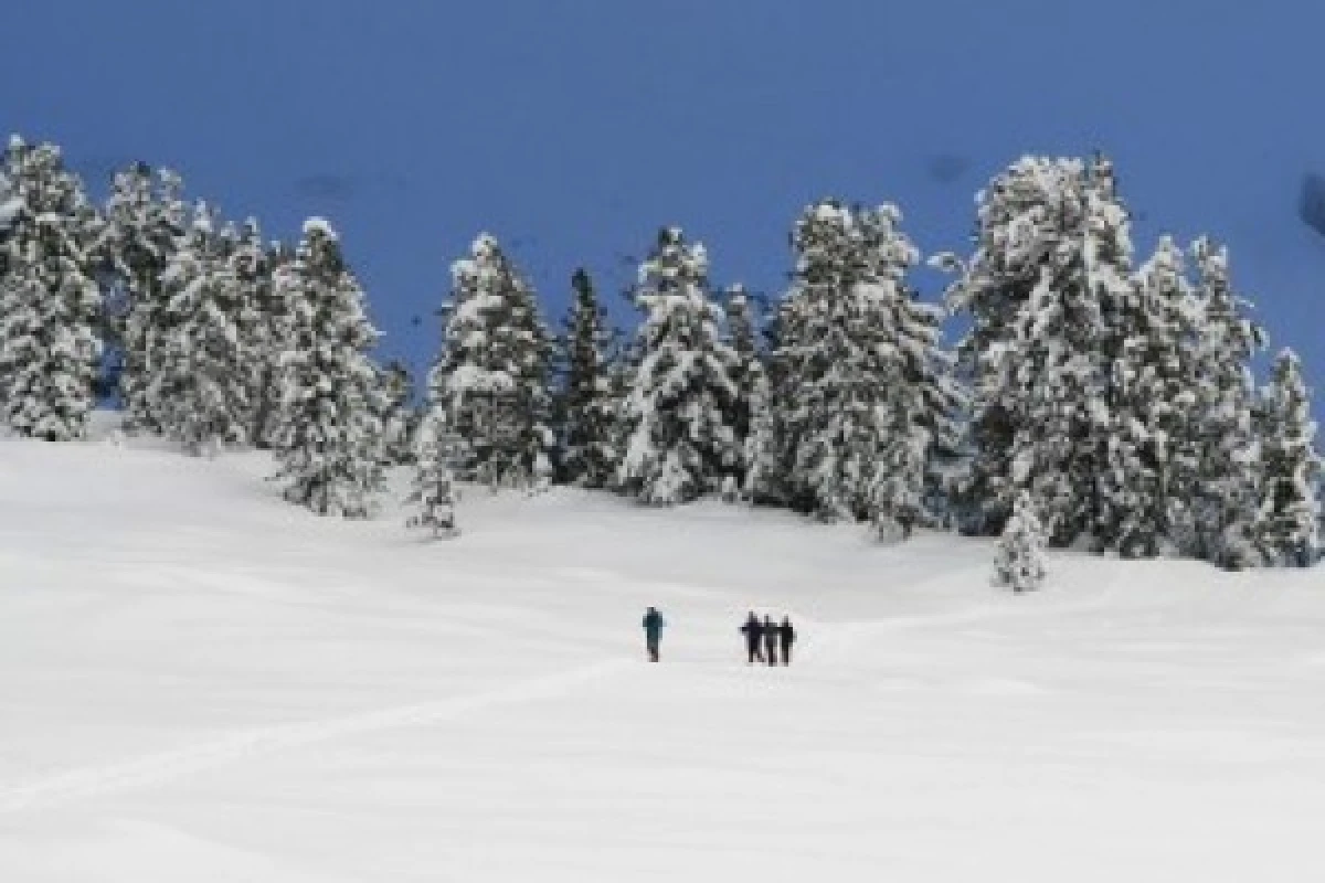 Raquettes à neige au Lac de la Lauch - Bonjour Fun