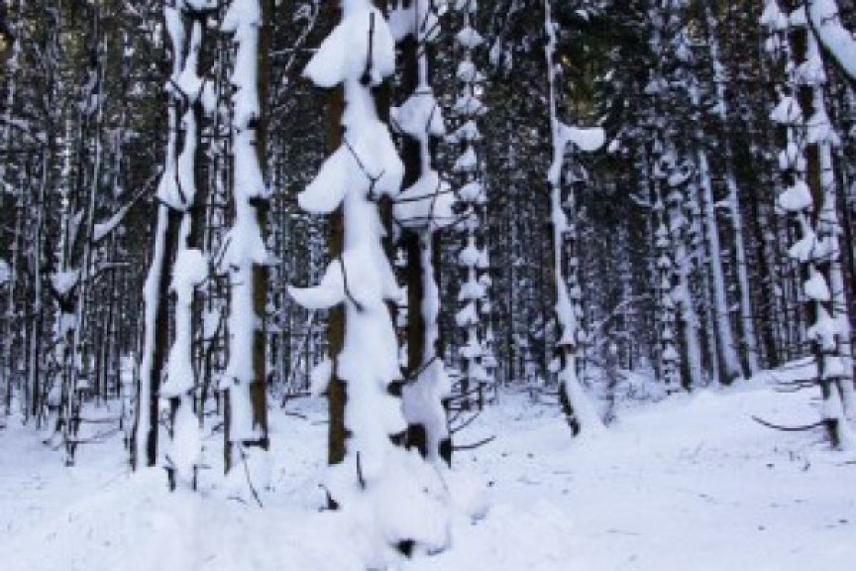 Raquettes à neige au Neuntelstein - Bonjour Fun