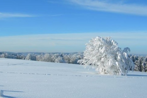 Raquettes à neige aux chaumes du Hohneck - Bonjour Fun