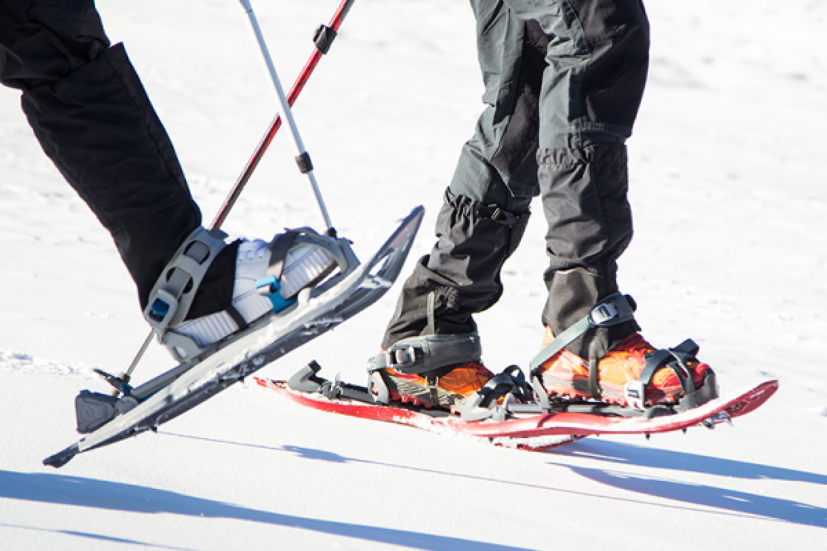 Raquettes à neige découverte du Feldberg - Bonjour Fun
