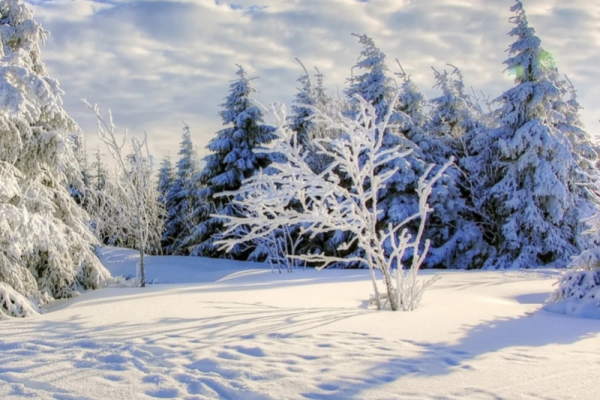 Raquettes à neige découverte du Rossberg - Bonjour Fun