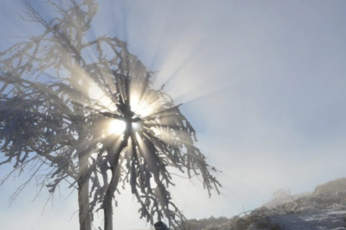 Raquettes à neige découverte du Rossberg - Bonjour Fun