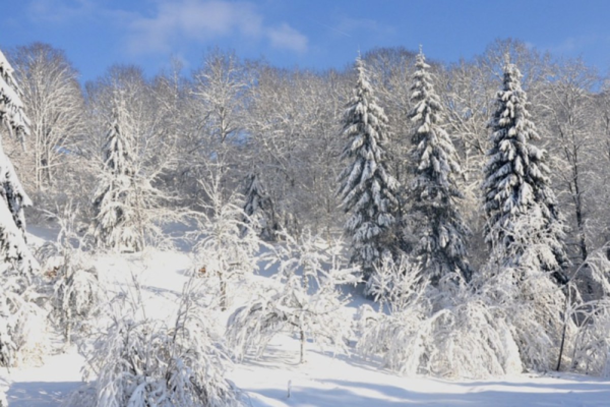 Raquettes à neige du Ballon Alsace - Bonjour Fun