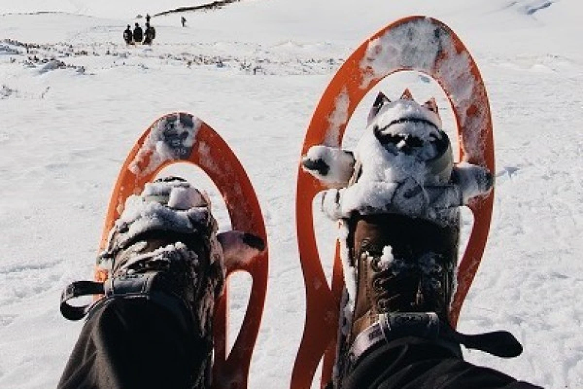 Raquettes à neige  du Haut Gazon - Bonjour Fun
