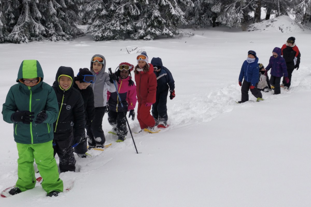 Raquettes à neige et descentes en luge - Bonjour Fun
