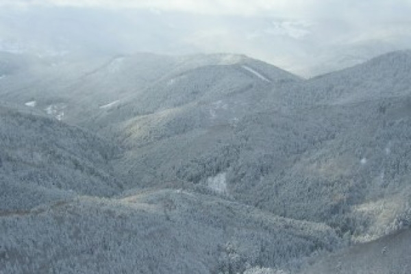Raquettes à neige privative au chaume du Gresson - Bonjour Fun