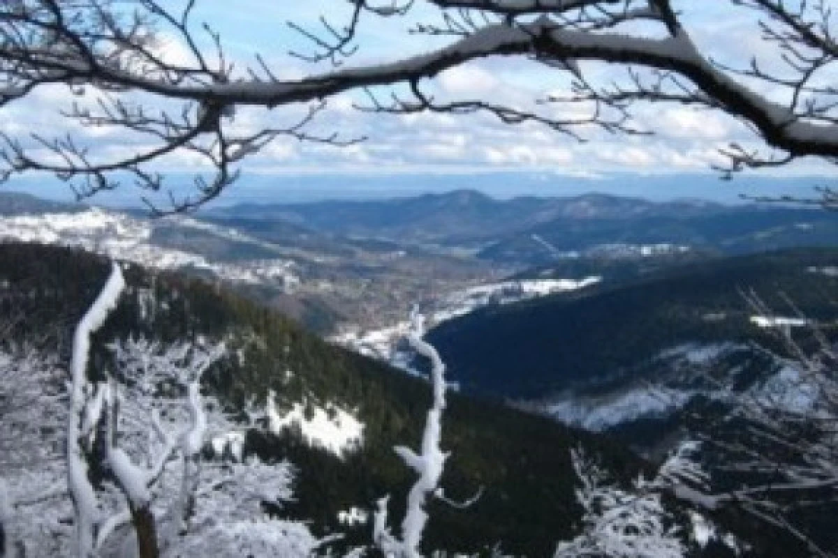 Raquettes à neige privative Grand Ballon - Bonjour Fun
