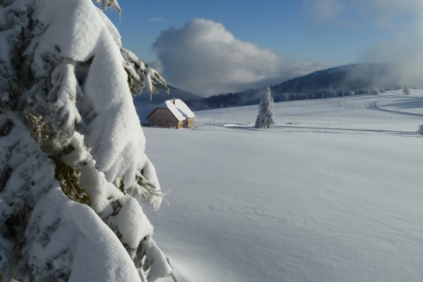 Raquettes à neige sur chaumes du Hohneck - Bonjour Fun