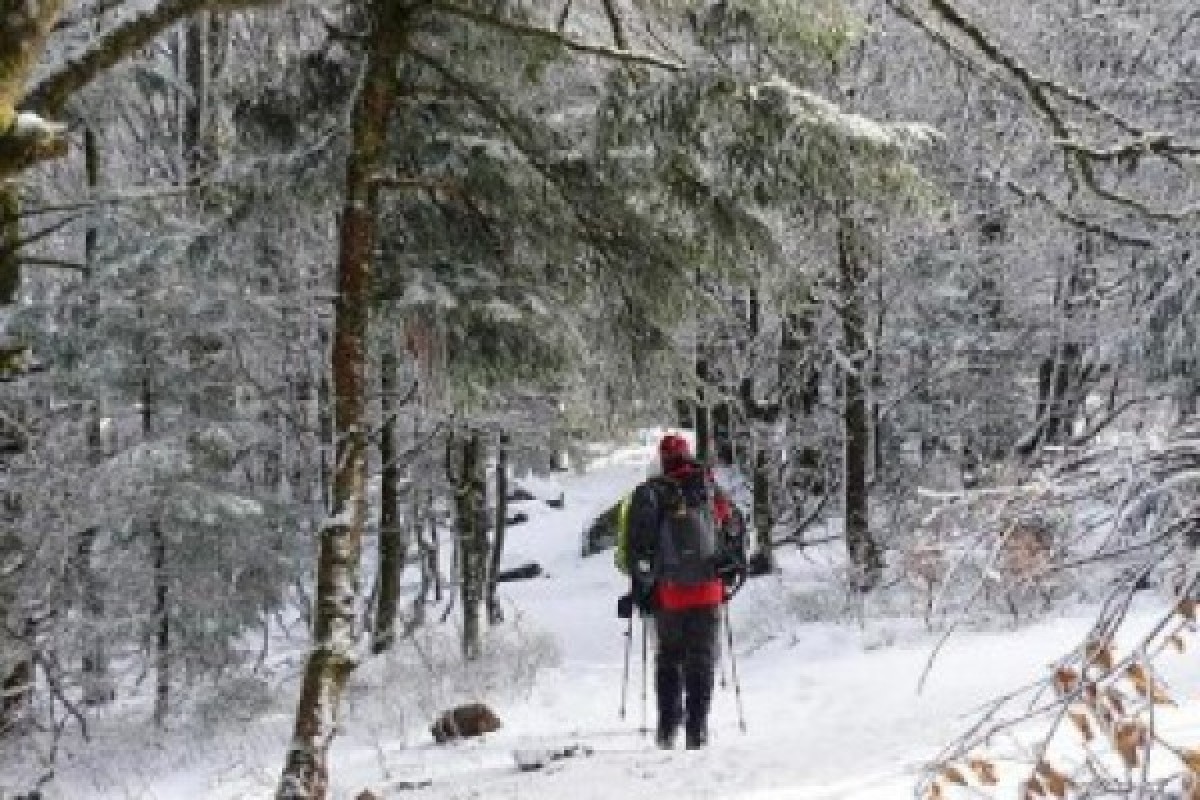 Raquettes à neige sur chaumes du Huss - Bonjour Fun